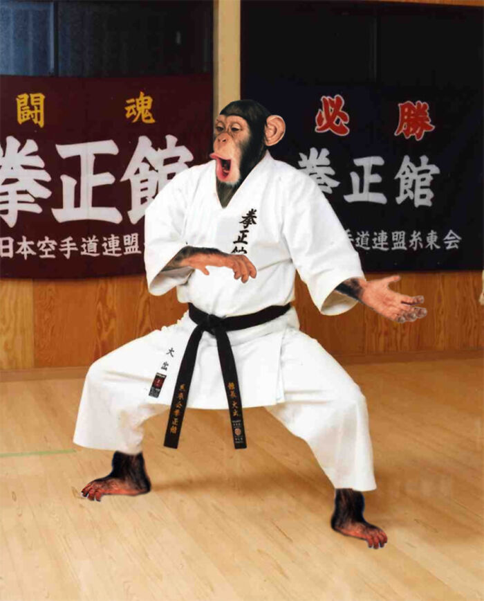 These Designers Were Challenged To Use Photoshop To Dress Animals (30 Pics)