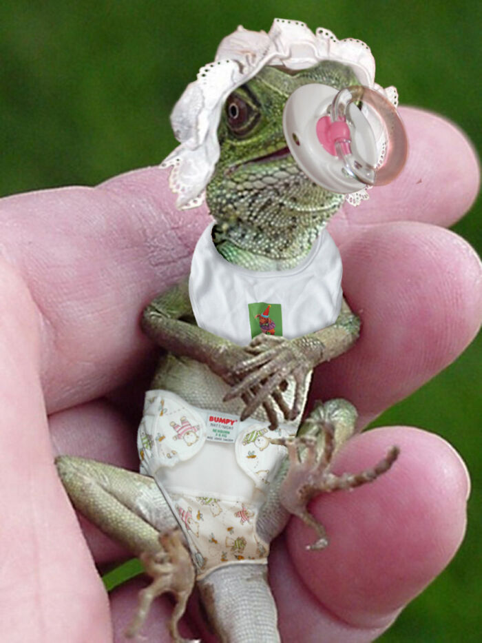 These Designers Were Challenged To Use Photoshop To Dress Animals (30 Pics)