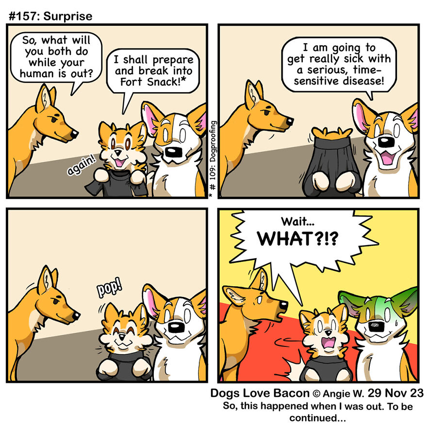 I Draw Comics About The Lives Of Four Rescue Dogs!