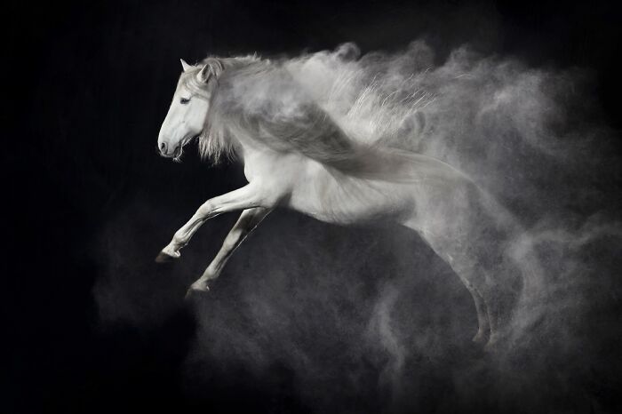 3rd Place Winner: "Out Of The Dust" By Andrea Zachrau