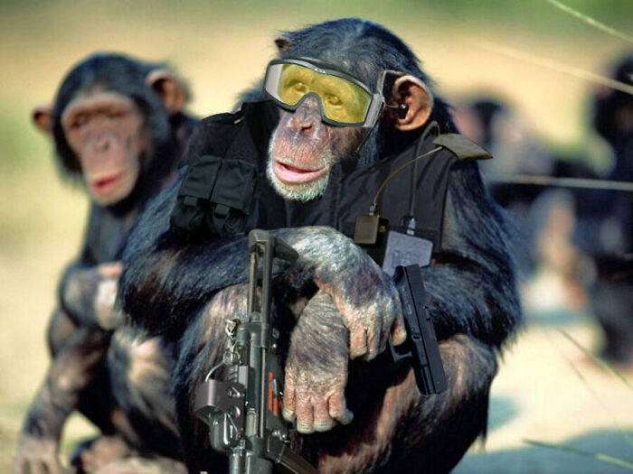 These Designers Were Challenged To Use Photoshop To Dress Animals (30 Pics)