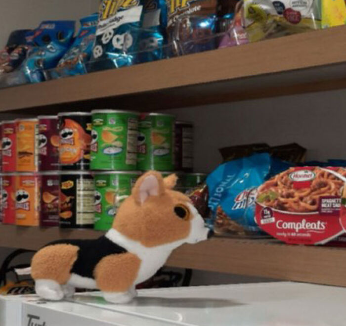 Family Was Distressed After Son’s Toy Was Left Behind Until Hotel Staff Saved The Day Family Was Distressed After Son’s Toy Was Left Behind Until Hotel Staff Saved The Day