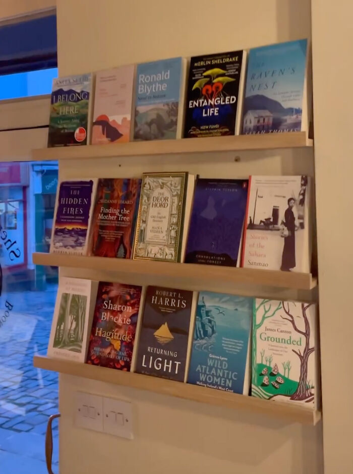 Bookstore Was Making $12 Before Owner Asked The Internet For Help, Was Revived For A New Life
