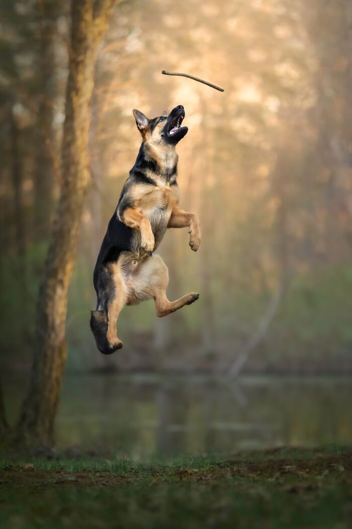 "Give It All You Got" By Grace Fieselman