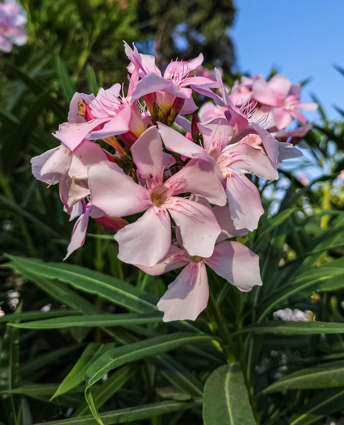 40 Ordinary Things That Can End Your Life If You Accidentally Have Too Much