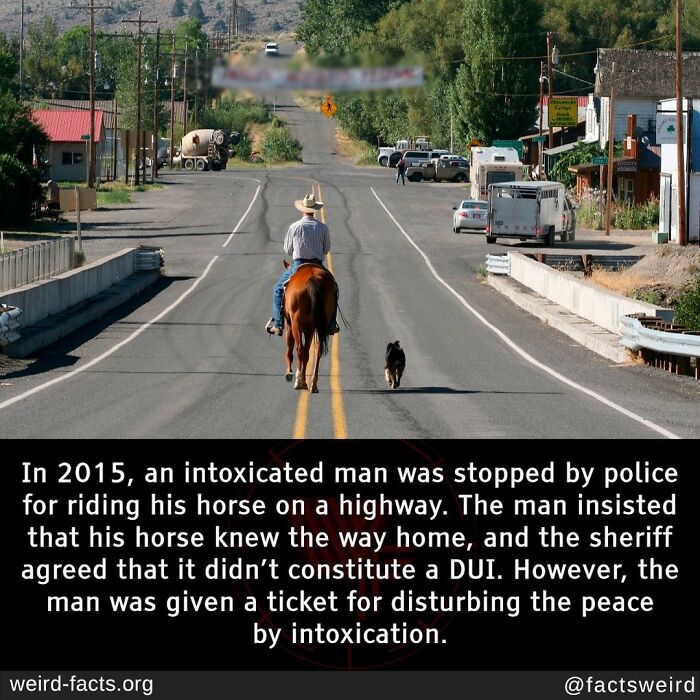 Send Me The Phone Number Of The Cop’s Mother Please…