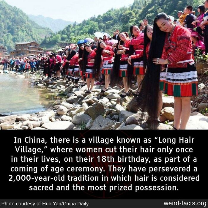 Must Be True I Read It On The Internet