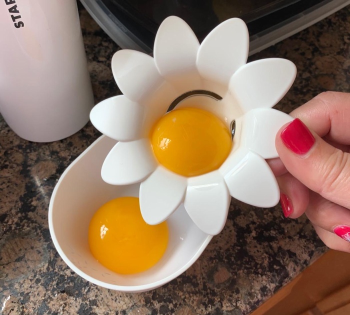 Egg-Straordinary Daisy Separator 