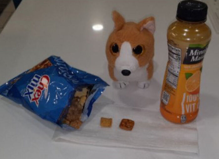 Family Was Distressed After Son’s Toy Was Left Behind Until Hotel Staff Saved The Day Family Was Distressed After Son’s Toy Was Left Behind Until Hotel Staff Saved The Day