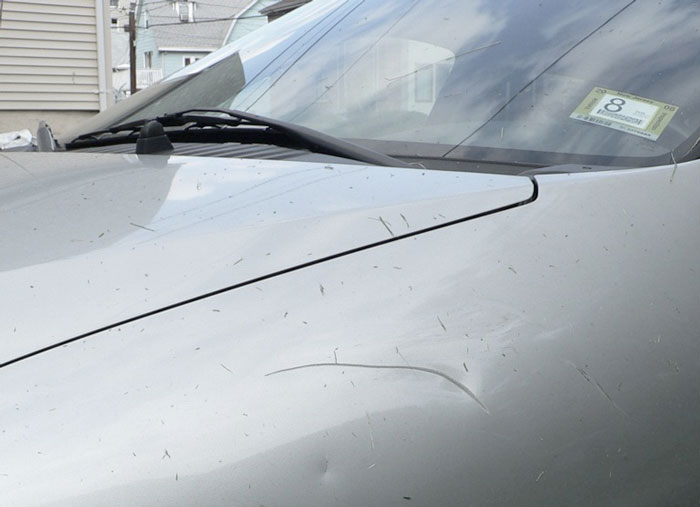 &ldquo;[Am I The Jerk] For Calling Off My $40K Wedding Because My Fianc&eacute; Dropped My Cat Off Somewhere?&rdquo;