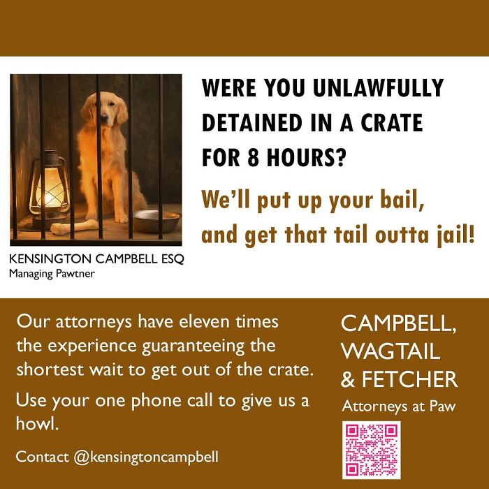 Dog attorney parody ad showing a golden retriever in a crate with attorney services for dogs seeking bail help.