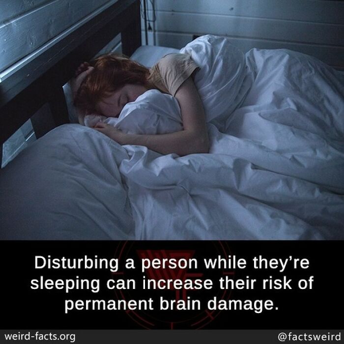 Never Wake Me Up… Like Ever. Pet Peeve Lol