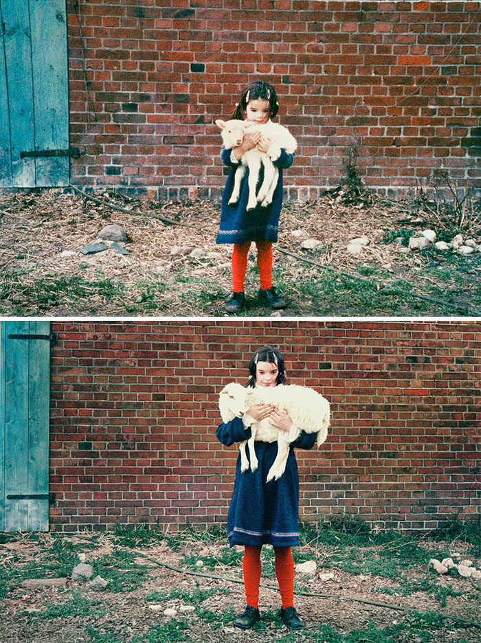 Nelhe, 1980-2012, Hamburg