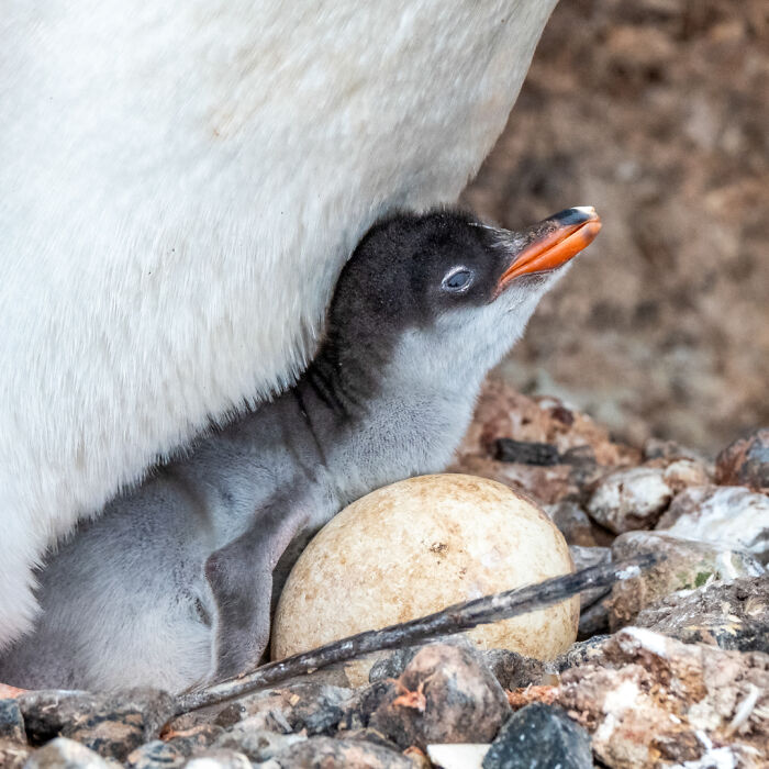 &ldquo;It&rsquo;s Life-changing&rdquo;: World&rsquo;s Most Remote Post Office Is Hiring 4 Postmasters
