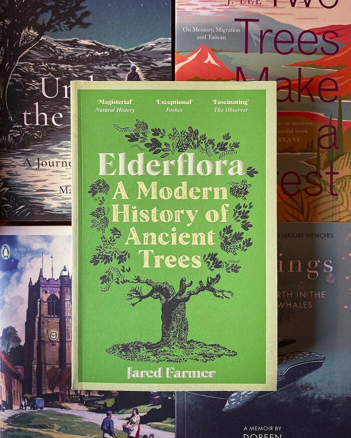 Bookstore Was Making $12 Before Owner Asked The Internet For Help, Was Revived For A New Life