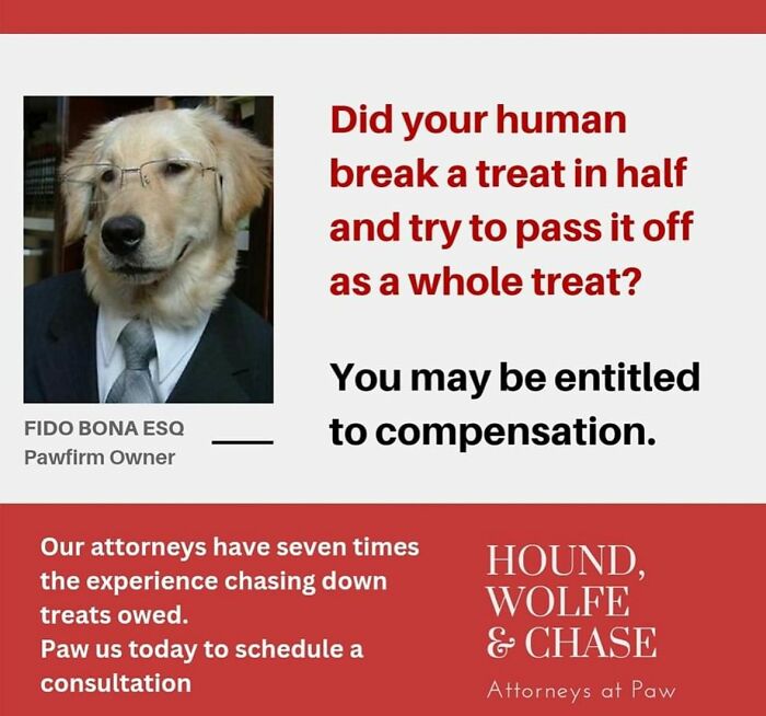 Dog attorney parody ad showing a dog in a suit with text about seeking attorney services for treat compensation.