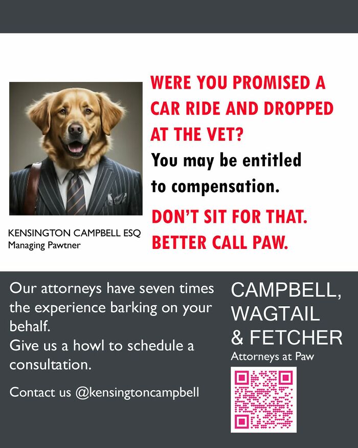 Dog dressed in a suit with parody ad text offering attorney services for dogs seeking legal help.