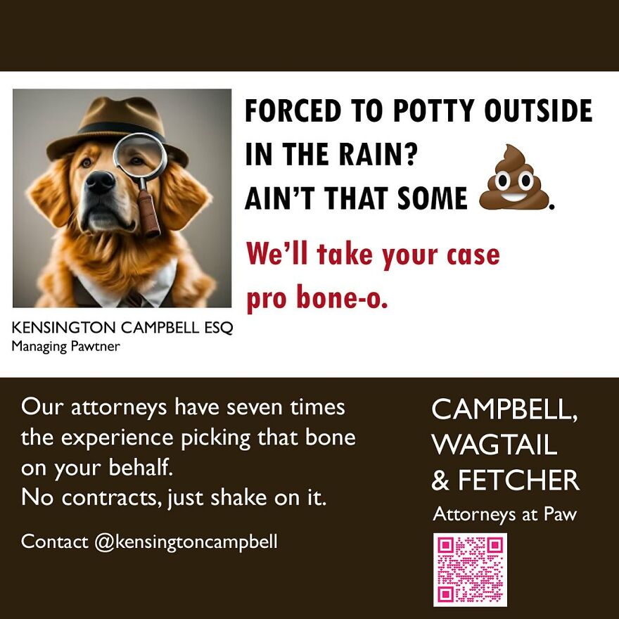 Funny Personal Injury Ads For Dogs (11 Pics)