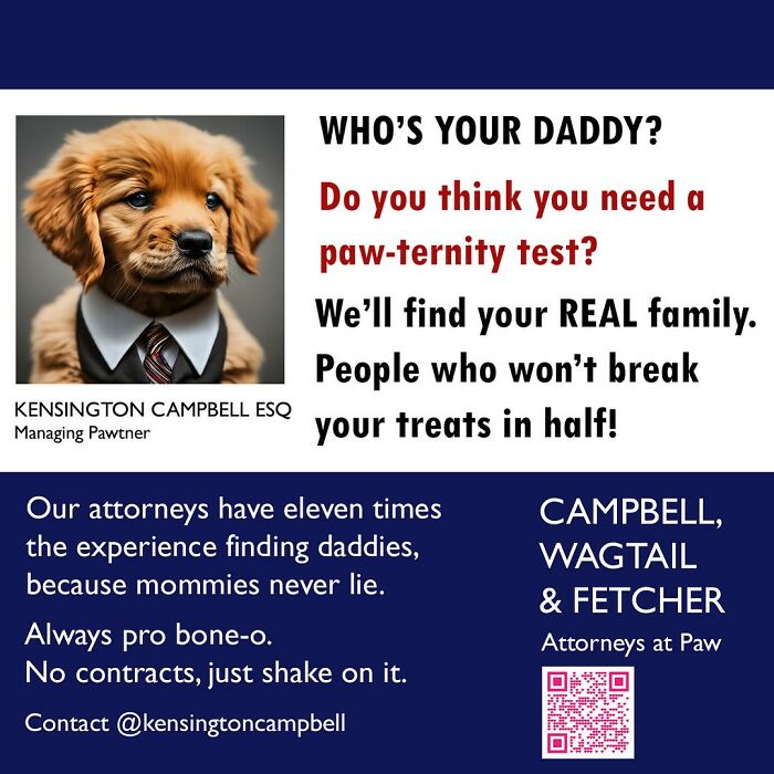 Puppy in a tie promoting parody attorney services for dogs seeking legal help with paw-ternity tests and treats.
