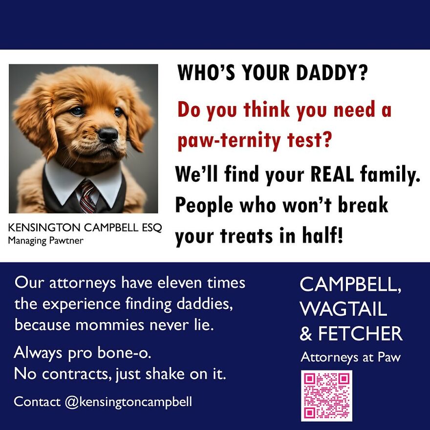 Funny Personal Injury Ads For Dogs (11 Pics)