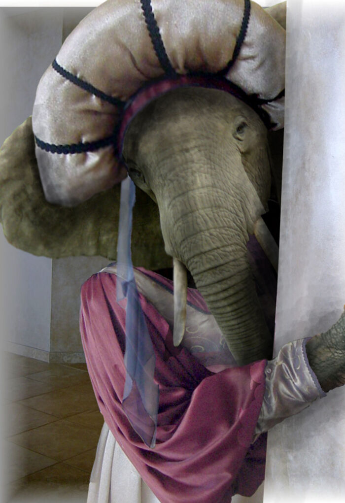 These Designers Were Challenged To Use Photoshop To Dress Animals (30 Pics)