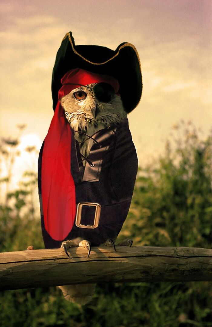 These Designers Were Challenged To Use Photoshop To Dress Animals (30 Pics)