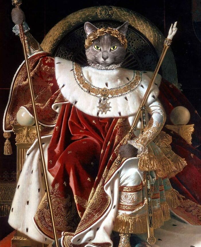 These Designers Were Challenged To Use Photoshop To Dress Animals (30 Pics)