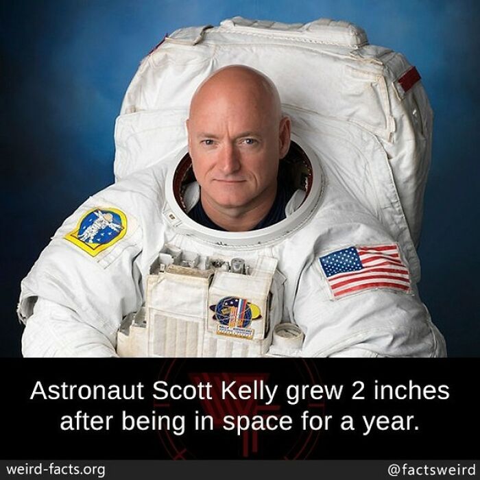 97wreply Jjoshdavidson's Profile Picture He Also Gained 3cm In Height 97wreply Ourouroboros's Profile Picture The Ladies Love Him 97wreply Davealkins's Profile Picture That’s What She Said 97wreply Nobinx87's Profile Picture Yeah, Gravitation Has A Way Of Pulling You Down... 97wreply Lotusman70's Profile Picture All Height, No Hair 97wreply Glennlamont's Profile Picture Another Thing I Don't Like About Gravity! 97wreply Bubstep's Profile Picture Hahahaha What Bollocks 😂😂😂 97wreply Daveh4's Profile Picture He Lost The 2" When He Came Back Down To Earth Though. 97wreply Uncle_mecos's Profile Picture We're All Thinking It...😂😂😂 97wreply Phil0menaa.r's Profile Picture @luke_rook22 That's All I Have To Doooo 97w1 Likereply April 9, 2022 Add A Comment…