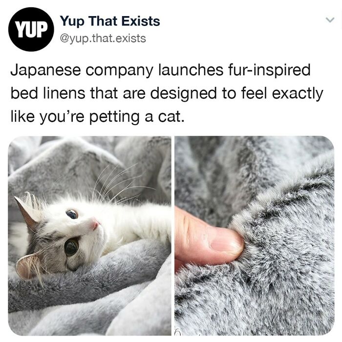 Fur-inspired bed linens designed to feel like petting a cat featured in weird but very real things post.