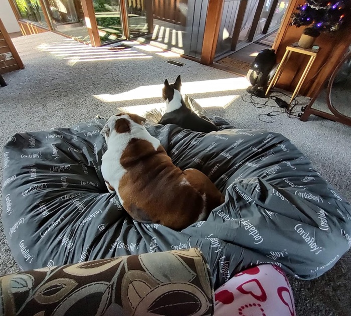  Cordaroy’s Chenille Bean Bag Chair That’s Fun And Functional For Kids