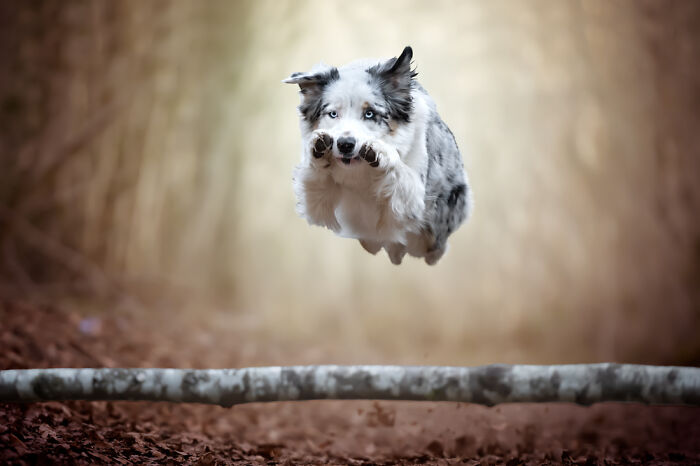 "Jumps" (Series) By Giovanna Arnaud Fleming