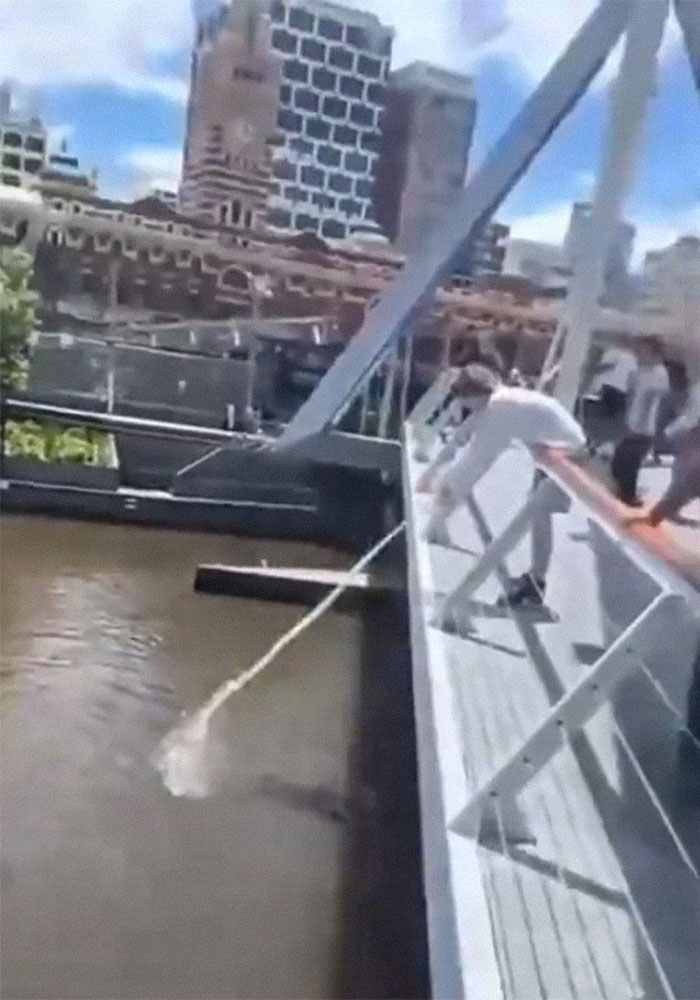 “You Happy?“: Teenager Investigated By Police And Suspended From School After Milk Prank “You Happy?“: Teenager Investigated By Police And Suspended From School After Milk Prank