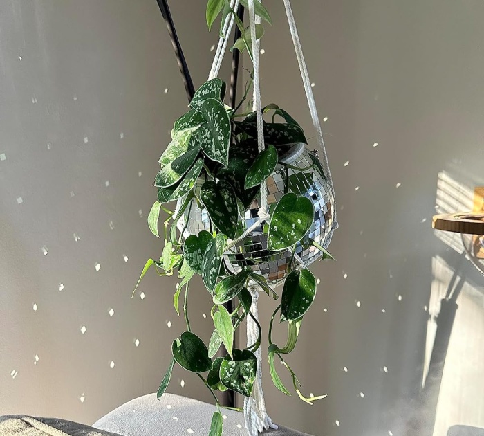 Get Your Groove On With The Disco Ball Planter Package