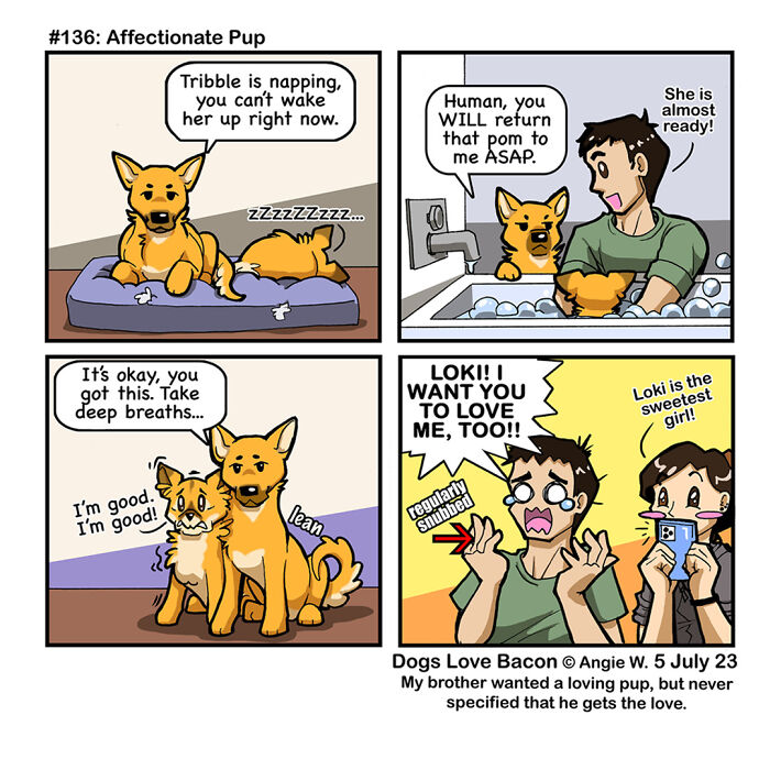 Comic strip showing the funny reality of being a dog owner with affectionate dogs and a frustrated owner.