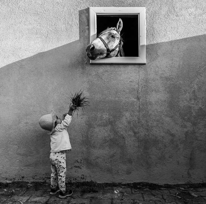 The 57 Best Black And White Photos According To The Street Photographers Foundation Awards