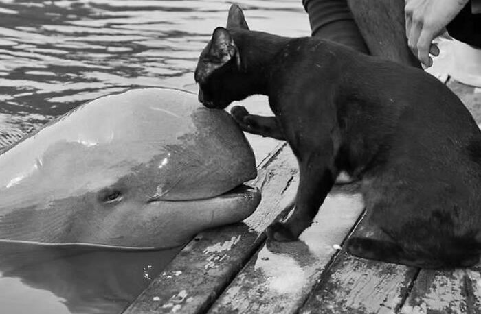 The 57 Best Black And White Photos According To The Street Photographers Foundation Awards