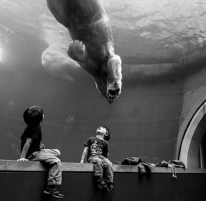 The 57 Best Black And White Photos According To The Street Photographers Foundation Awards