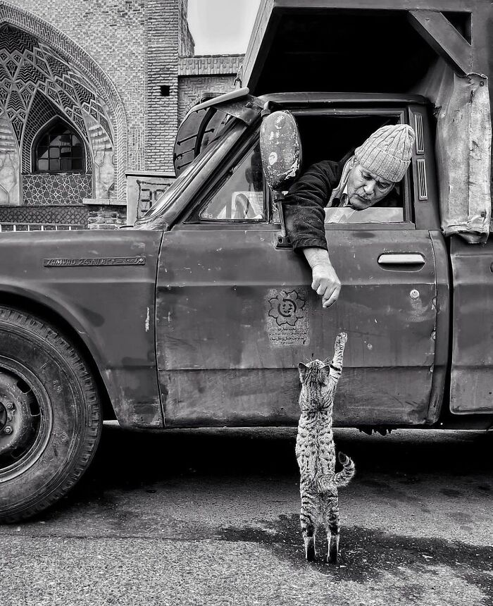 The 57 Best Black And White Photos According To The Street Photographers Foundation Awards