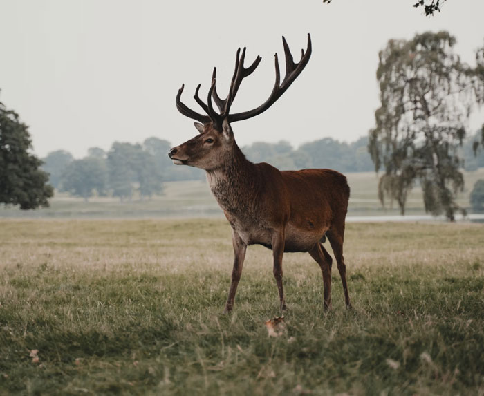 20 Cosas obvias que la gente descubrió un poco tarde en la vida