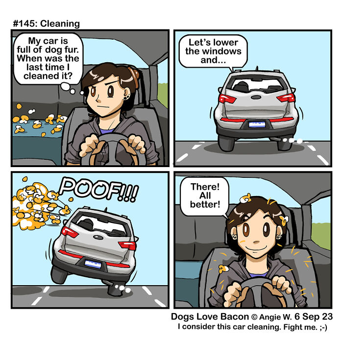 Comic showing the funny reality of being a dog owner with car full of dog fur and playful cleaning attempts.