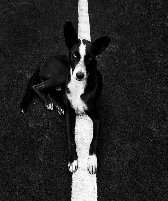 The 57 Best Black And White Photos According To The Street Photographers Foundation Awards