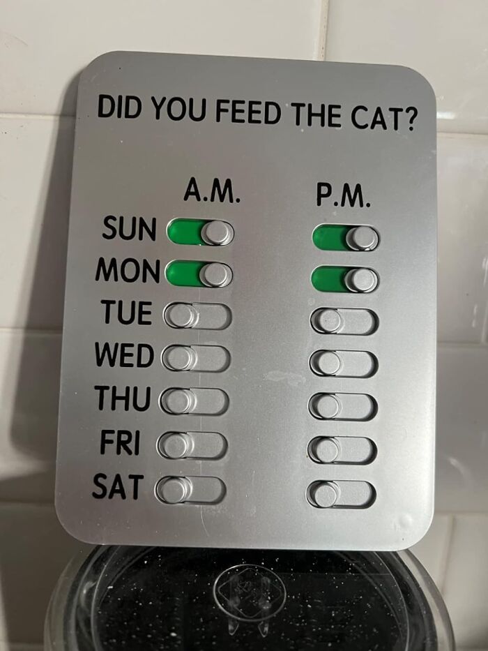 Mealtime Magic For Pets: Reminder Kit With Magnets & Stickies For Timely Feeds!