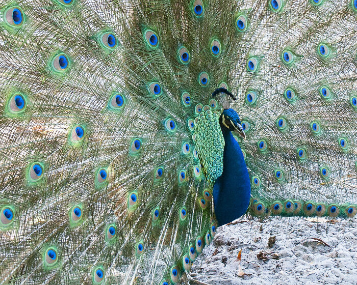 Folks Share The Most Disturbing Things They’ve Seen While Camping And Here Are 30 Of The Scariest