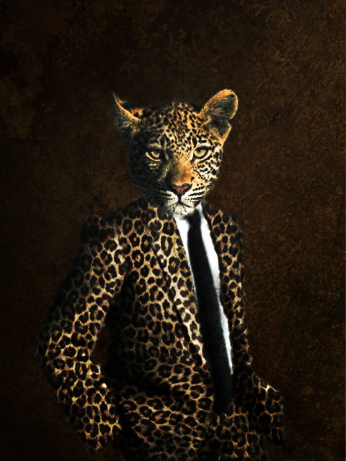 These Designers Were Challenged To Use Photoshop To Dress Animals (30 Pics)