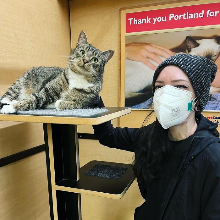 Almost 2 Weeks Ago I Signed Moishe’s Adoption Papers, And He’s Still Smiling Today! I Think He Is Happy To Be In His Forever Home