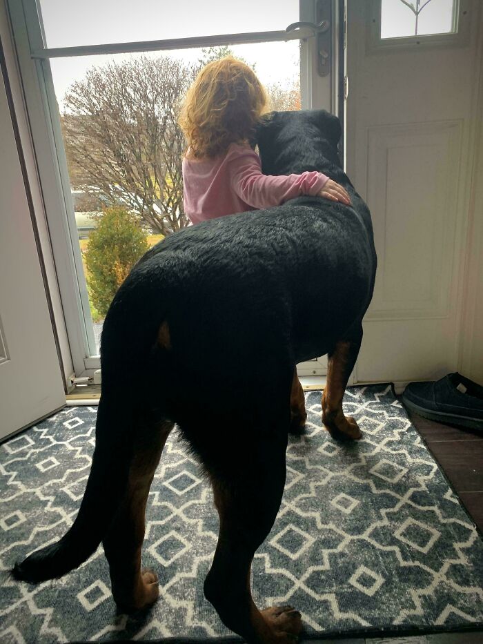 Adopted Rocco And She Said “Let’s Keep Him Forever And Ever And Ever”