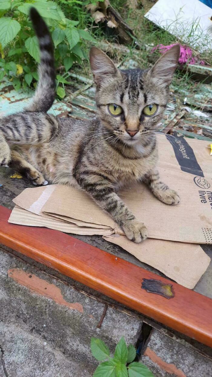 Found This Baby In My Backyard Today And Now It Is Mine