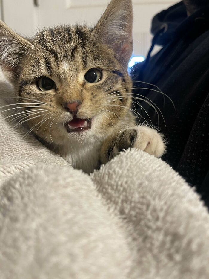 It’s -8 Here And Heard A Cry At Our Front Door