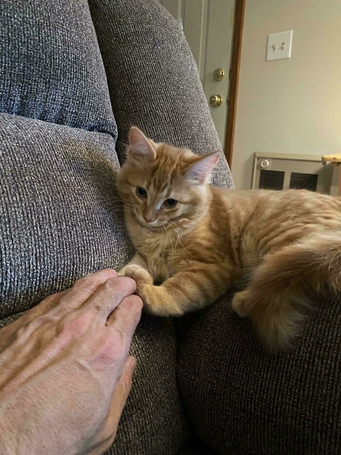 I Adopted Mine Today! Was Told His Brain Cell Would Come In The Mail In 3-4 Weeks