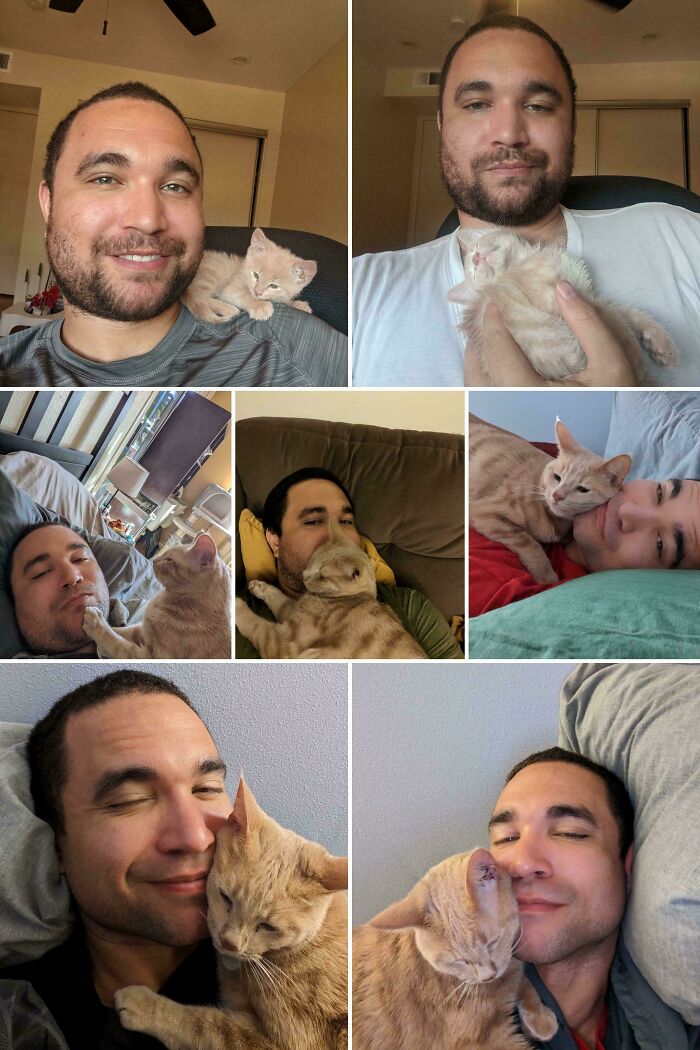 Was Never A Cat Person Aaaaand I Became A Cat Dad